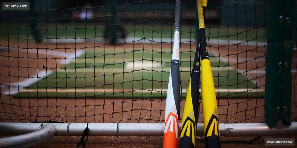 行业领先的理由